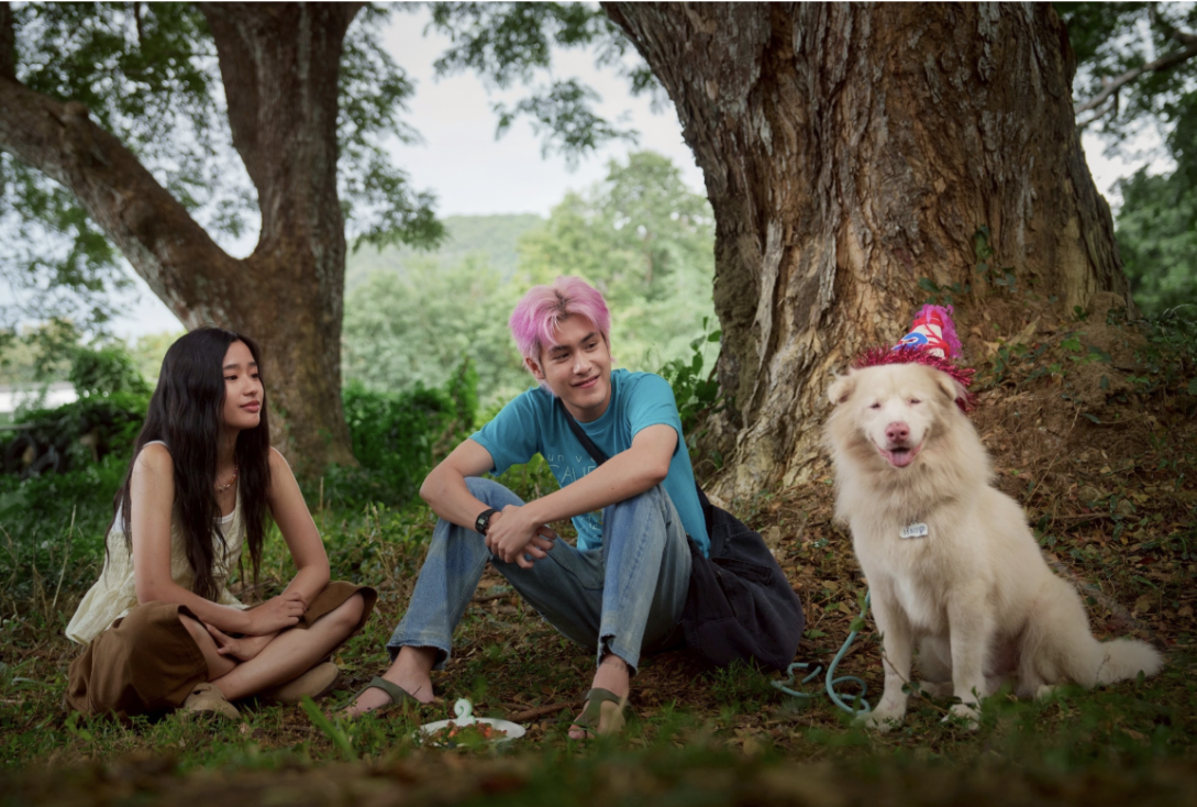 Screenshot 2569-04-17 at 12.44.06.png